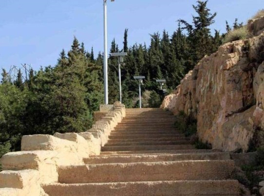 Stairs To Reach The Gahvareh Did Of Shiraz