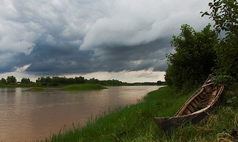 Kiashahr Swamp