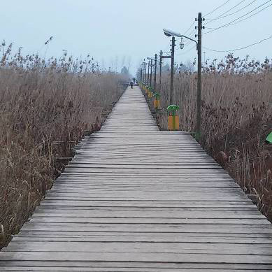 Wooden Bridge In Kiashahr