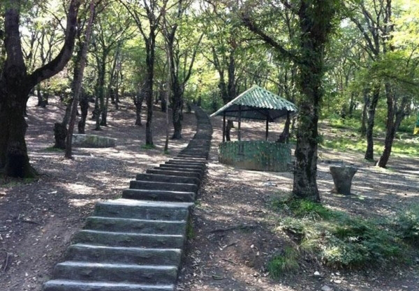 پارک جنگلی ساوه