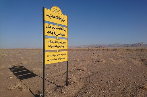 کمک برای جبیرهای سرگردان عباس آباد