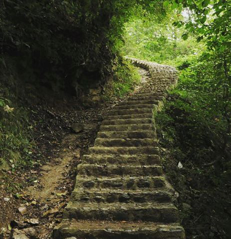 Stairs To Reach The Waterfall