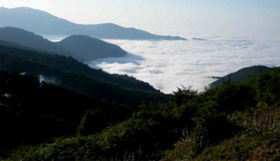 Mountains And Cloud Forest