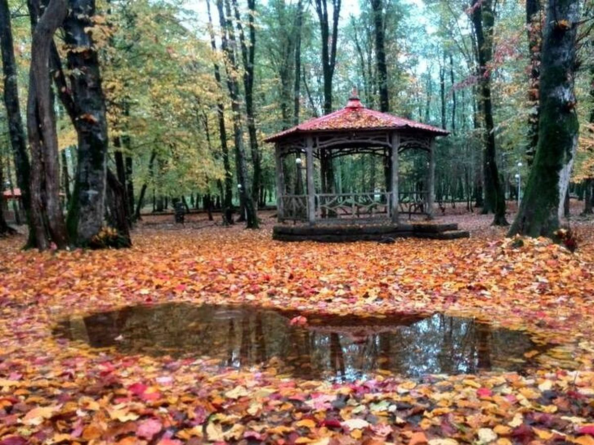 Pergola In Gisom Forest Park