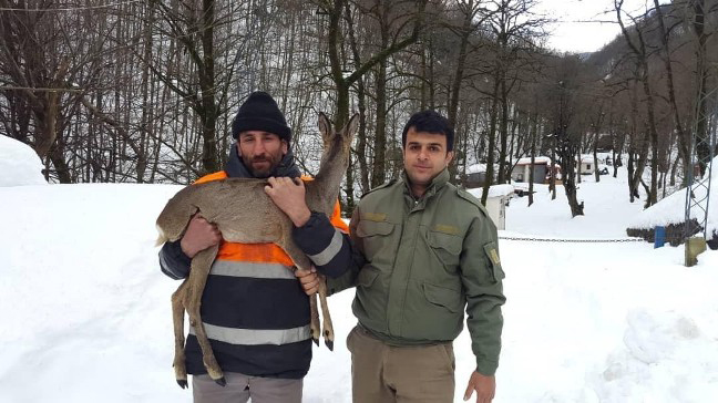 Shoga Rescue By Siahkal-Deylaman Road Workers