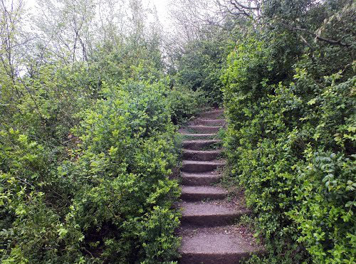 Stairs To Reach The Castle