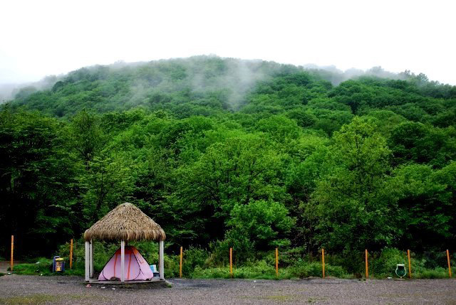 Pergola In This Forest Park In Golestan Province