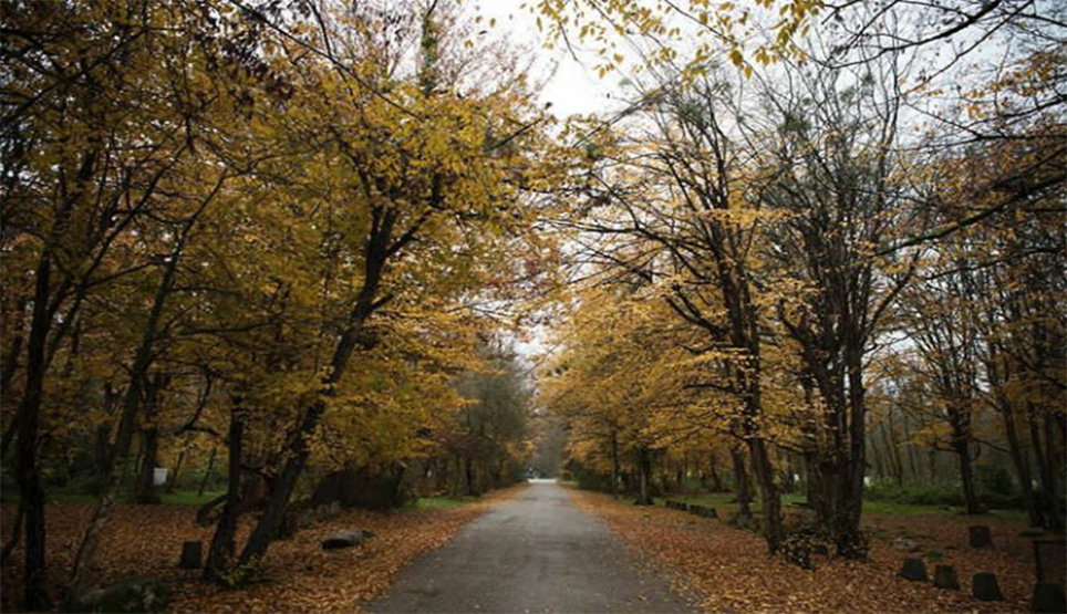 Si Sangan Park In Iran