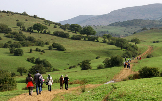 جاده روستای داماش گیلان