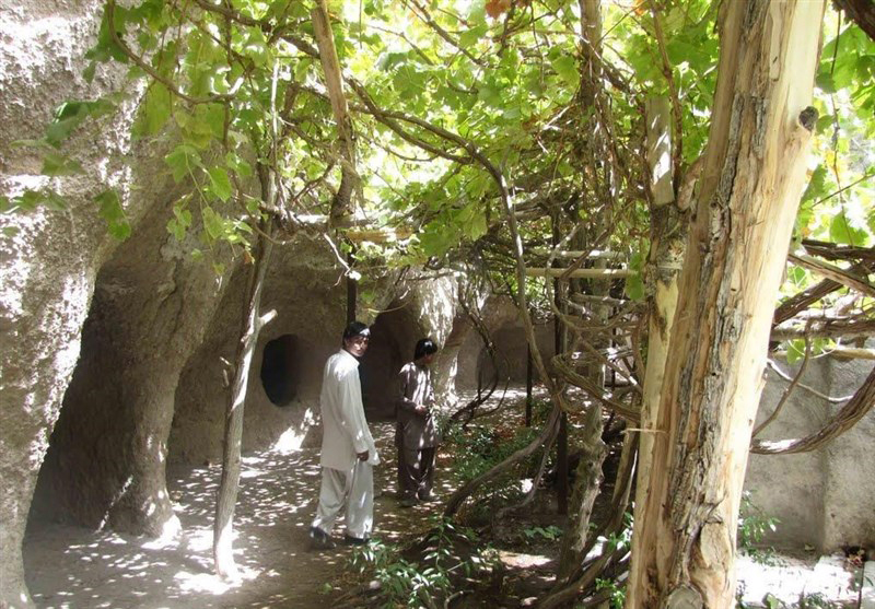 روستای تمین