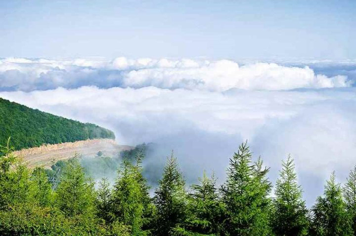 Shahroud Cloud Forest