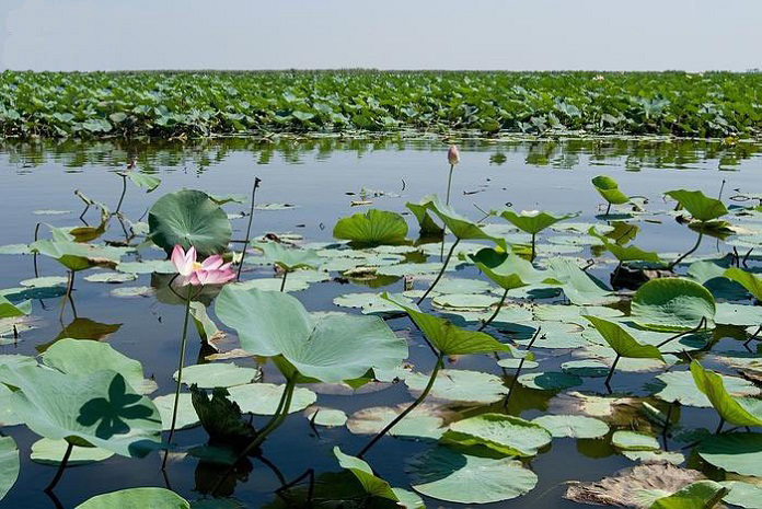 Niloofar Sarab Lake In Kermanshah Province