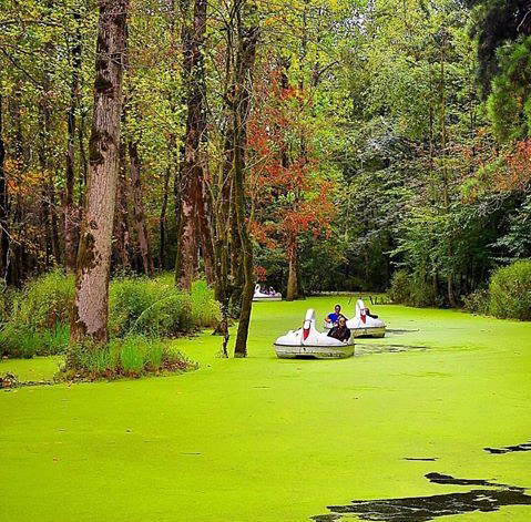 Saravan Forest Park