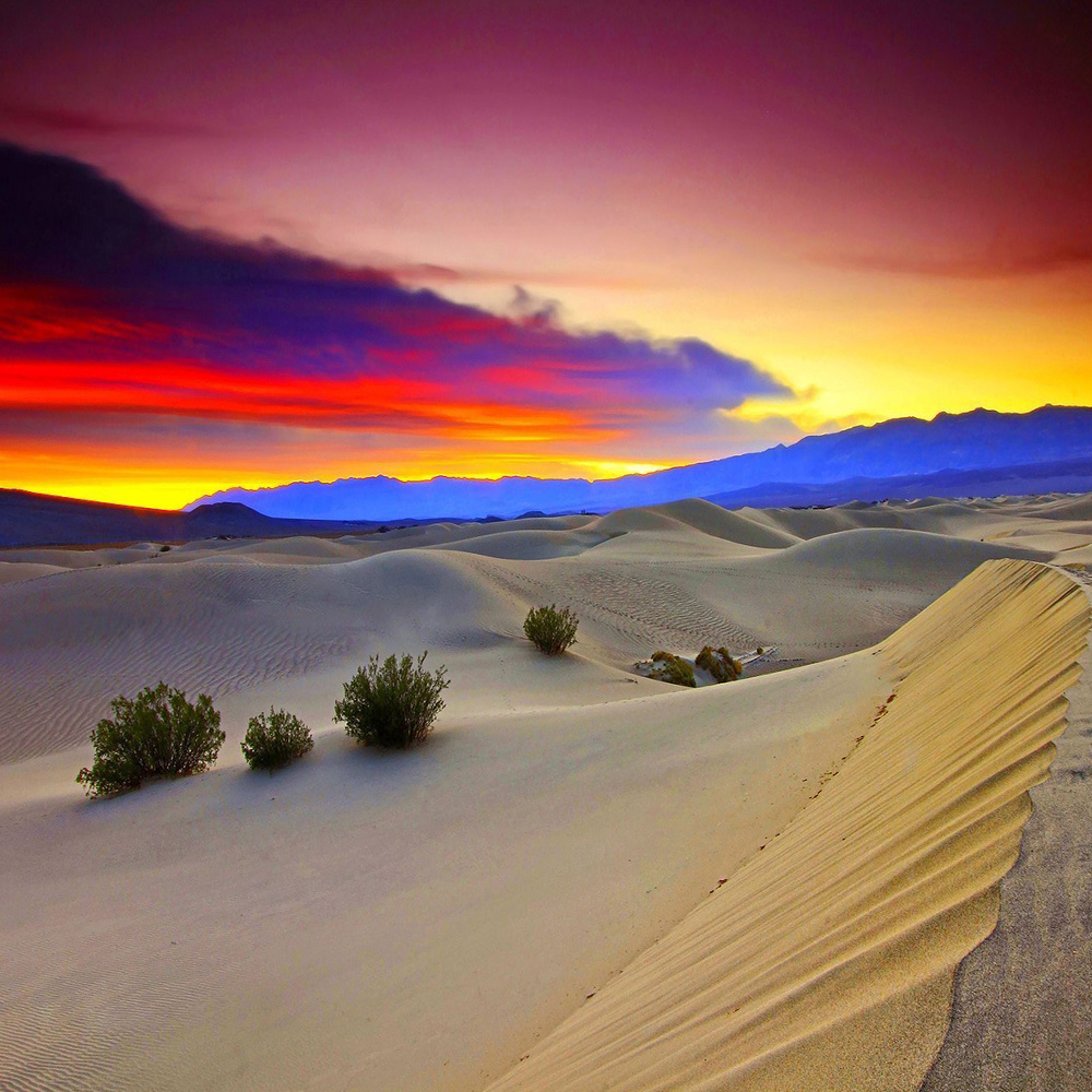 Iran Deserts and tour in Deserts