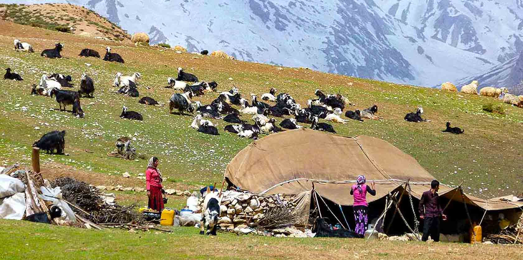 Nomads Of Iran